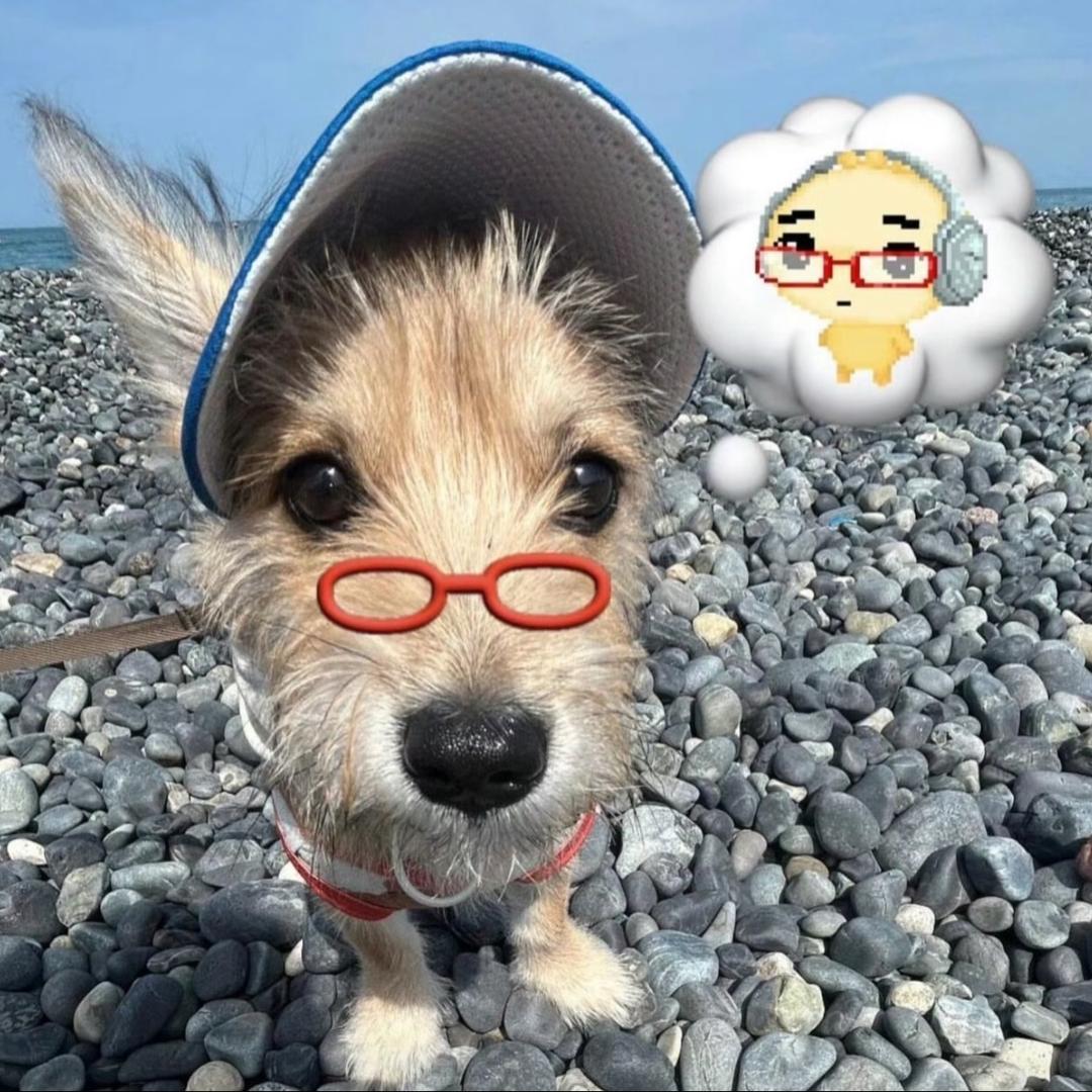 老公是gay怎么办