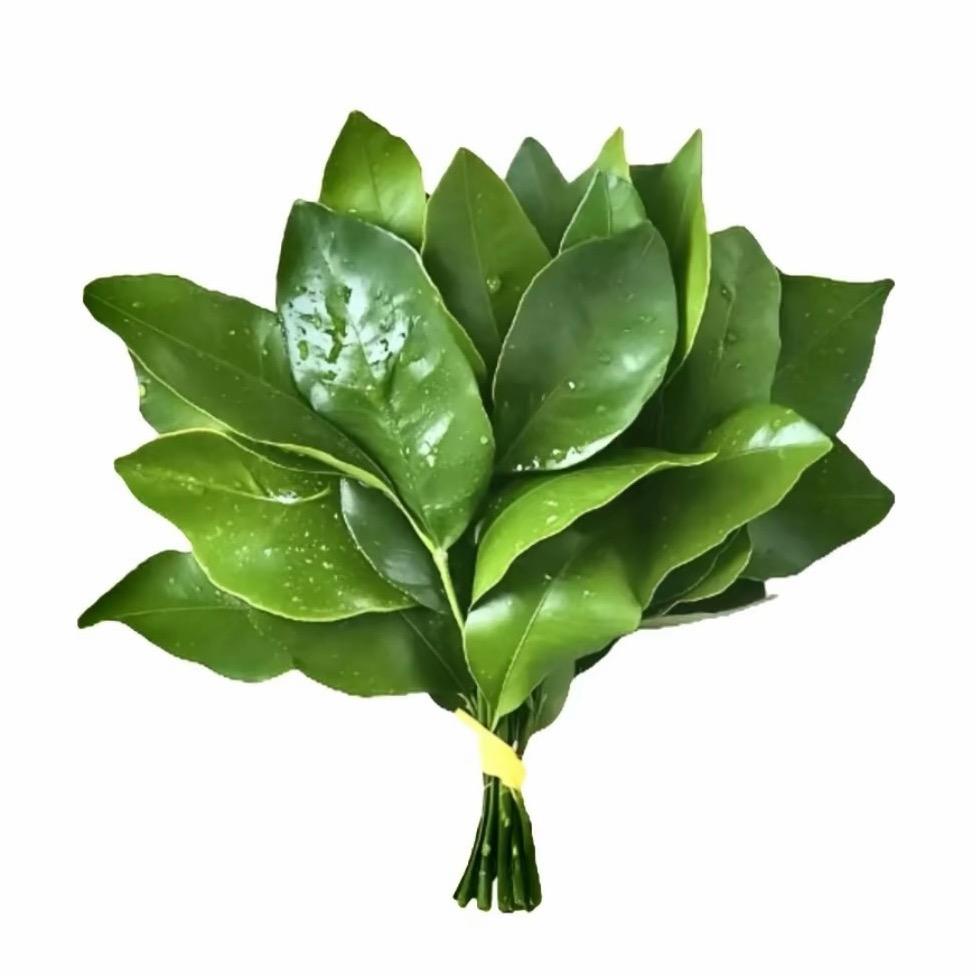 伤感薯条