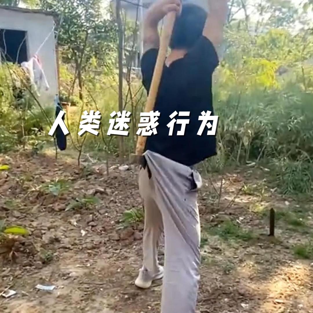 苏苏百货