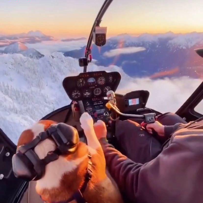 ❀～Going go ❀～