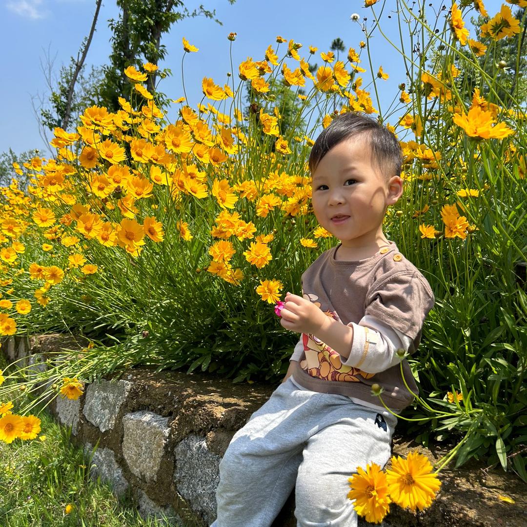 ✨哈哈哈哈哈✨