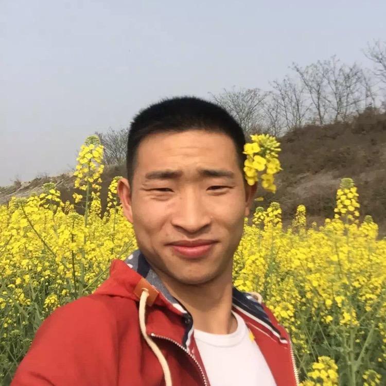 伟伟二手车