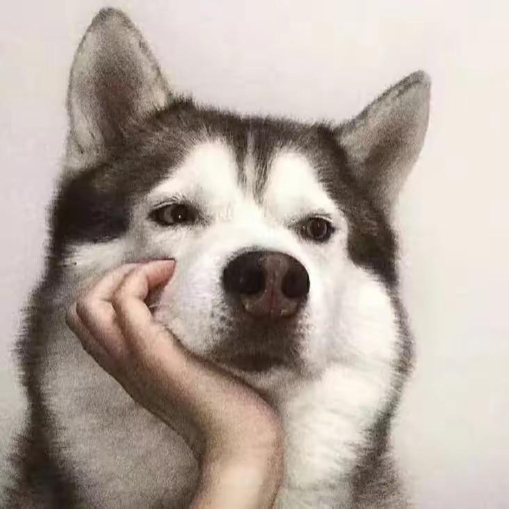 俺会馏馍