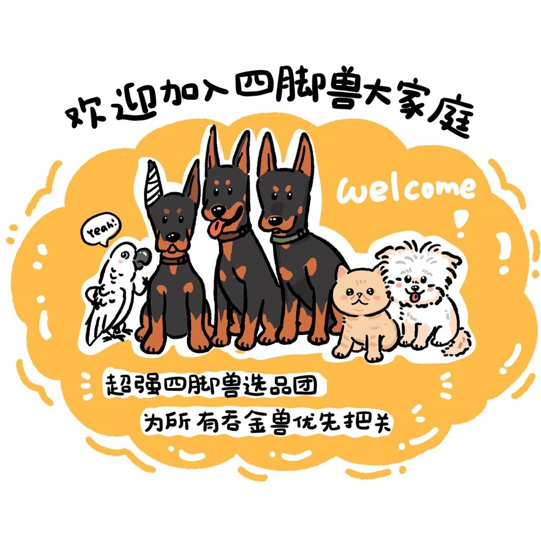 四脚兽大家庭