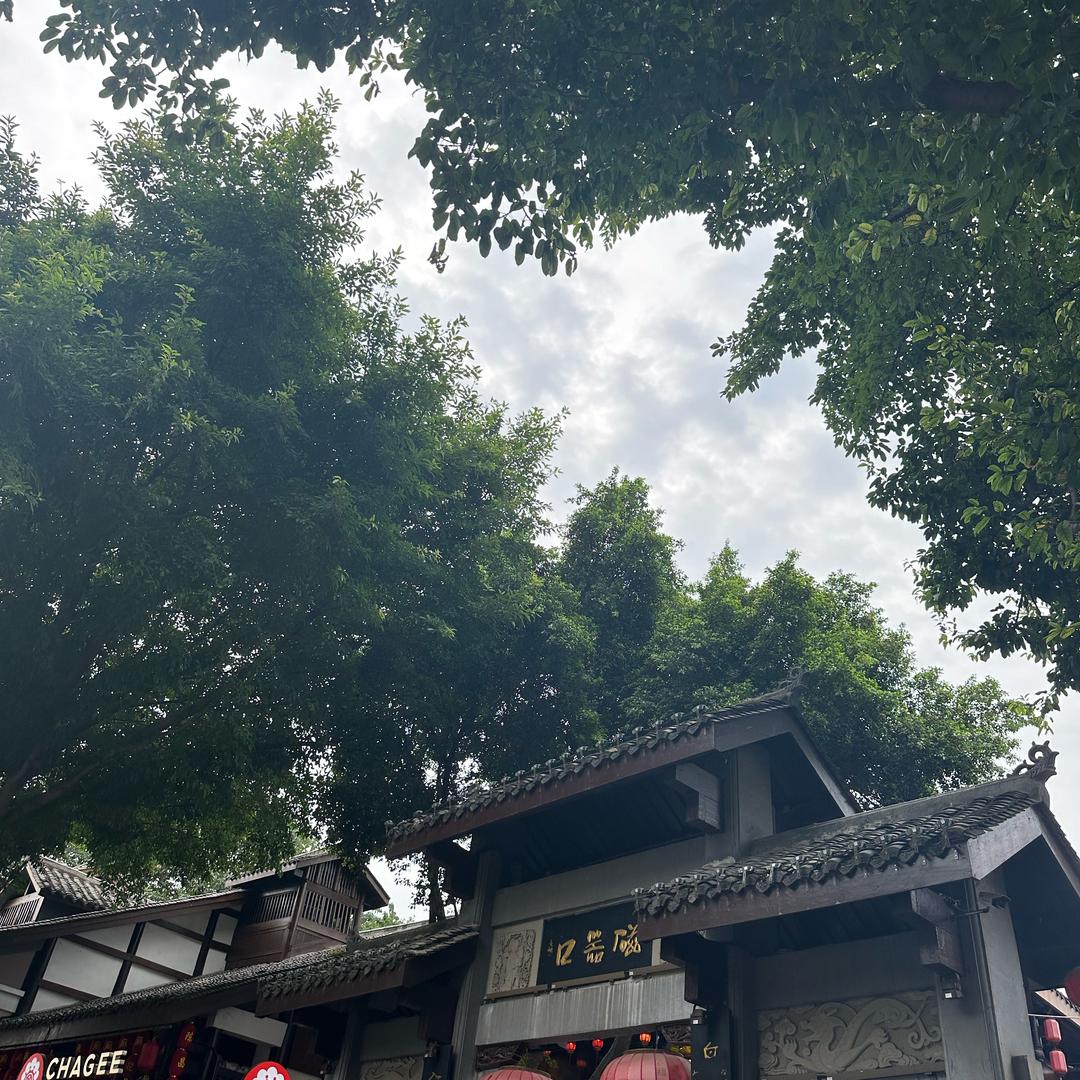 9966程涛