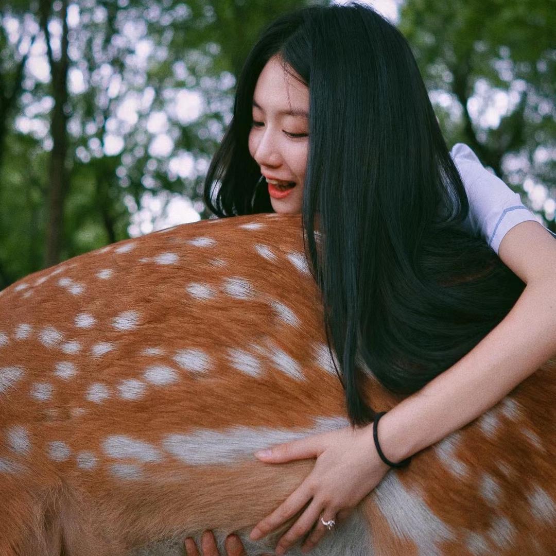 苏菲浅-✨