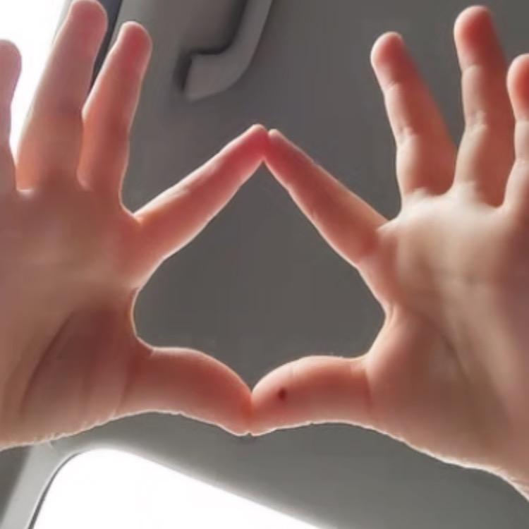 兔子🐰快跑