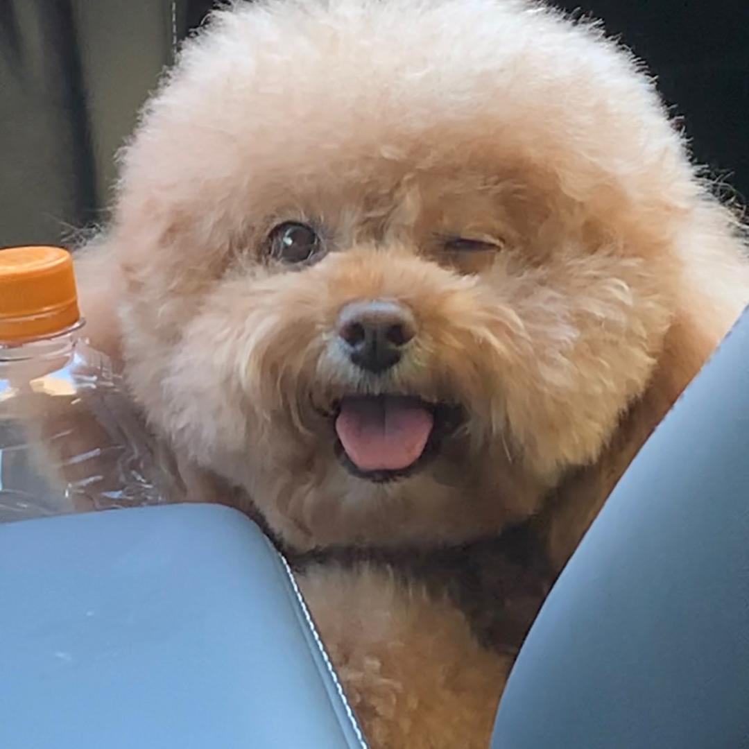 臭臭不爱洗澡🌝