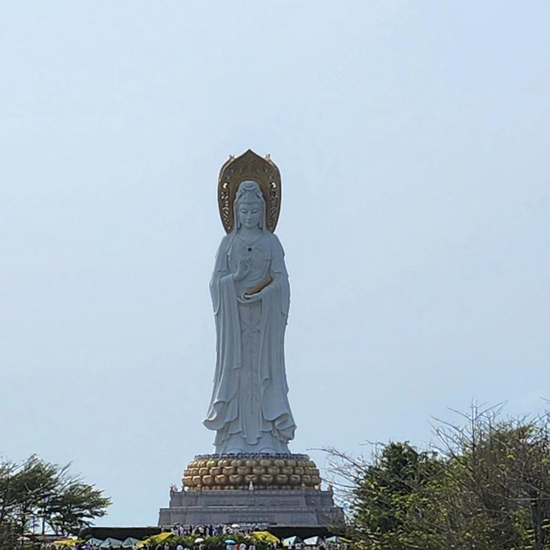 咪哆