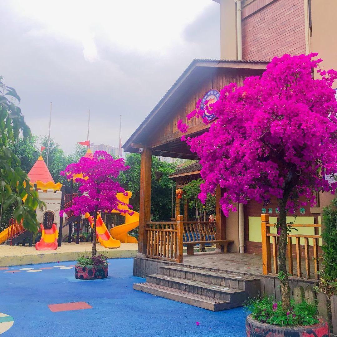 联发瞰青幼儿园