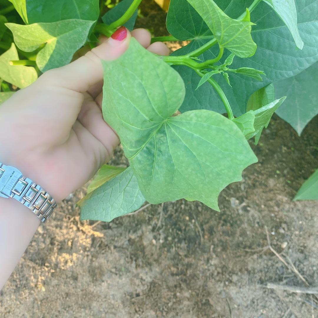 დ冷暧🥀᭄自知꧔ꦿ℘