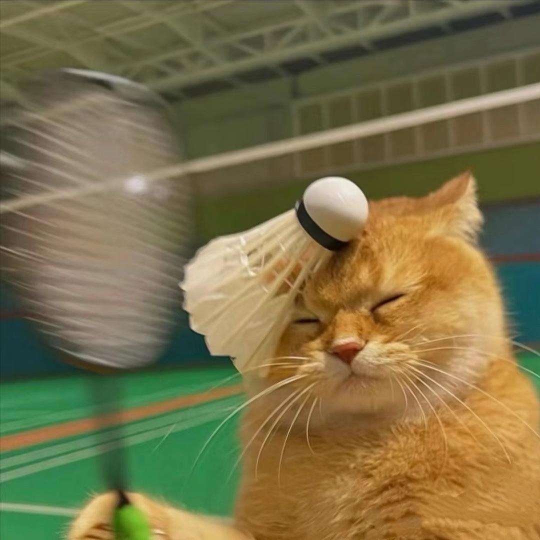 菲哥的贴身糕手✌️