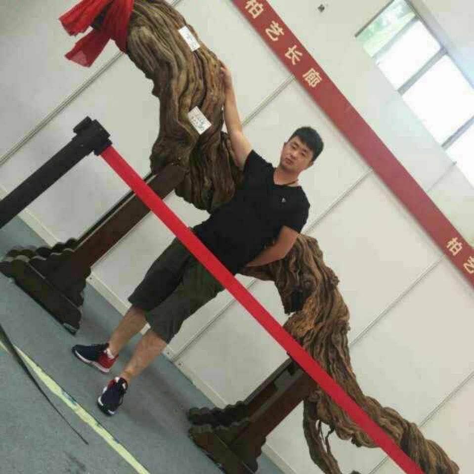 紫荆松柏林工艺