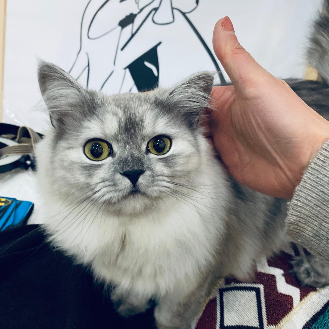 墨小白✌️