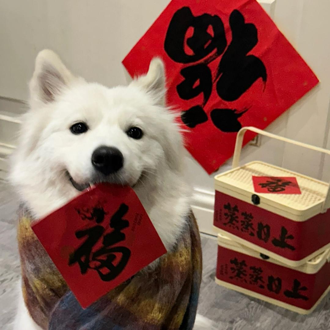 池雾安