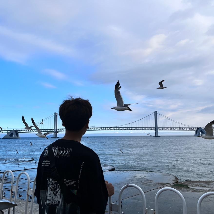 葱柠
