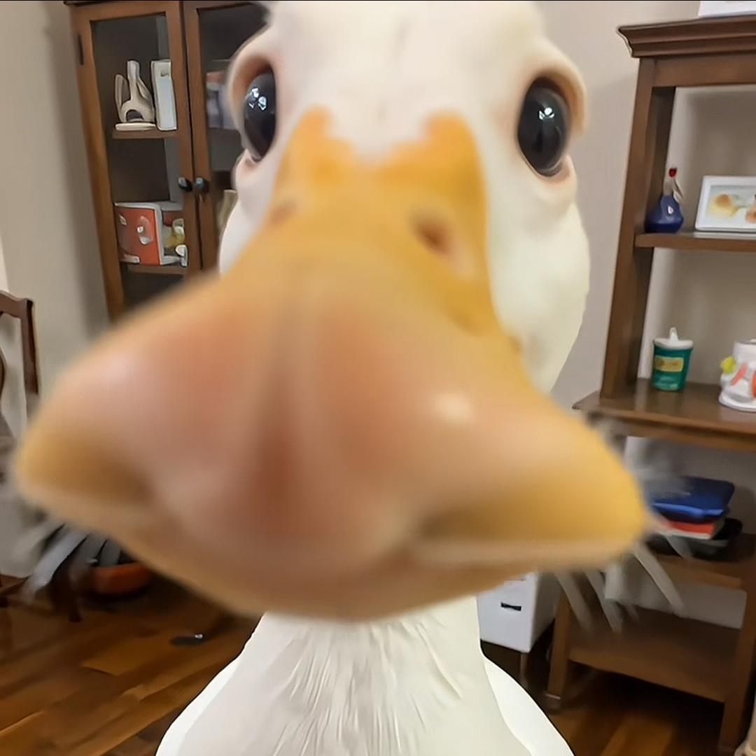 AAA菜市场鸡蛋批发李姐