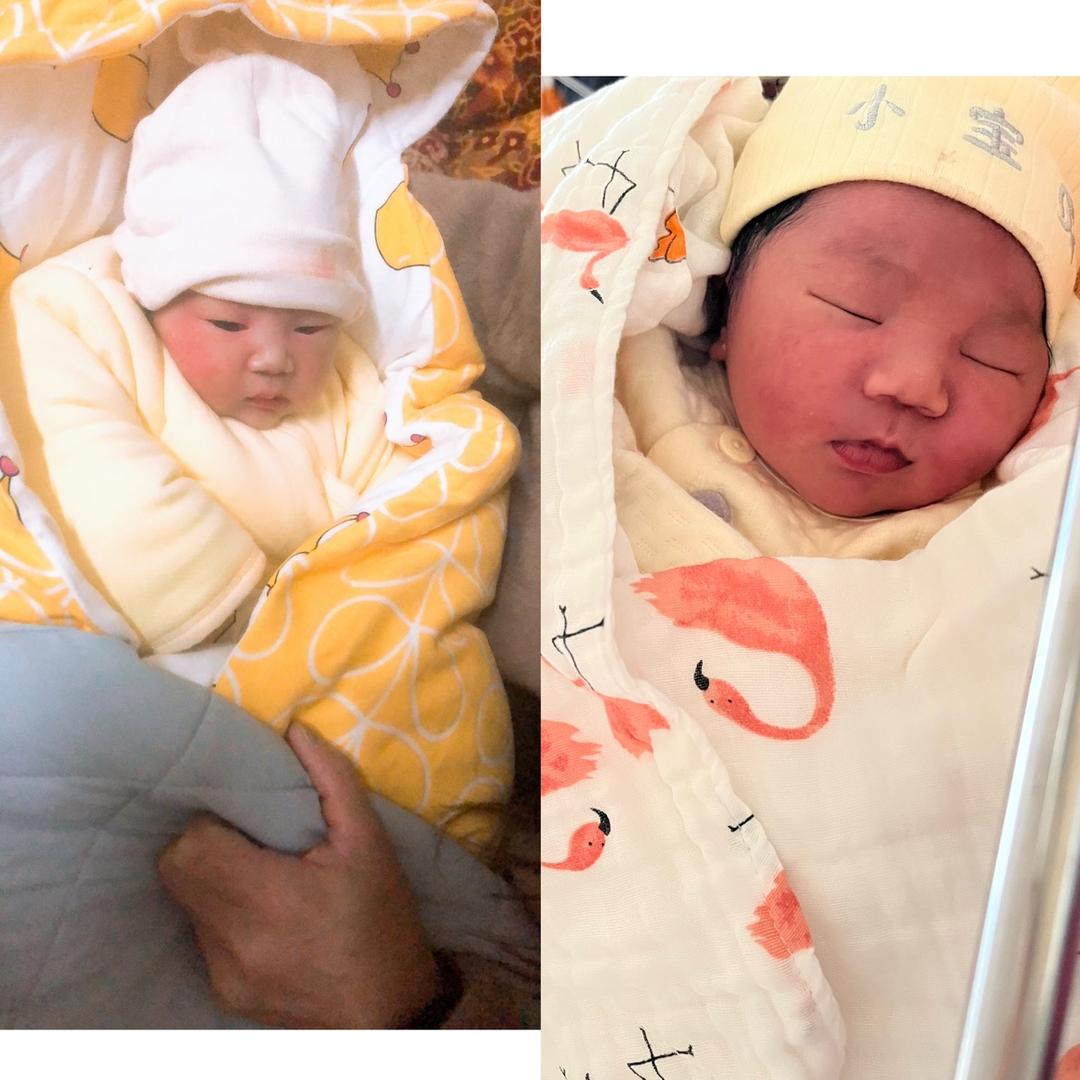 是米乐 米兜儿呀🐭🐰