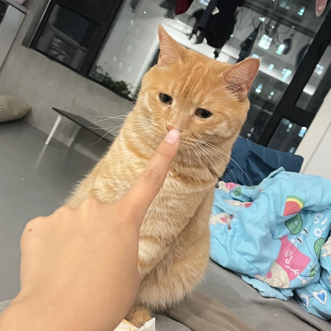 刘😀😀