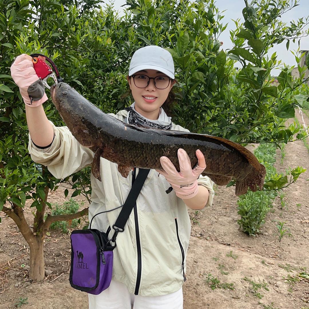 🎣小甲鱼爱钓鱼