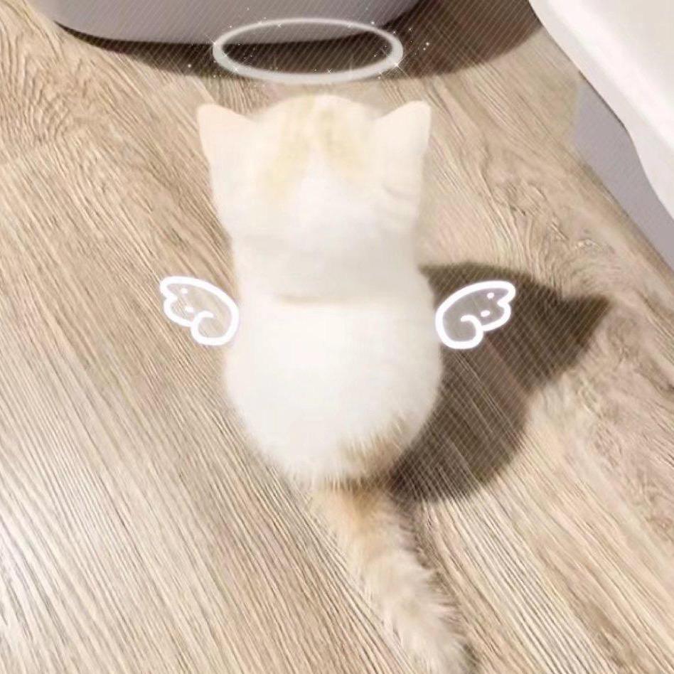 Tu