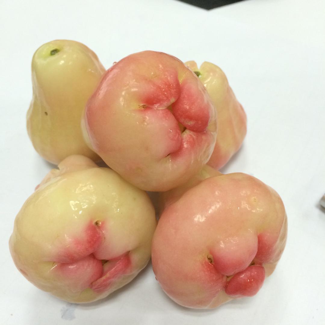 东莞桐京电机