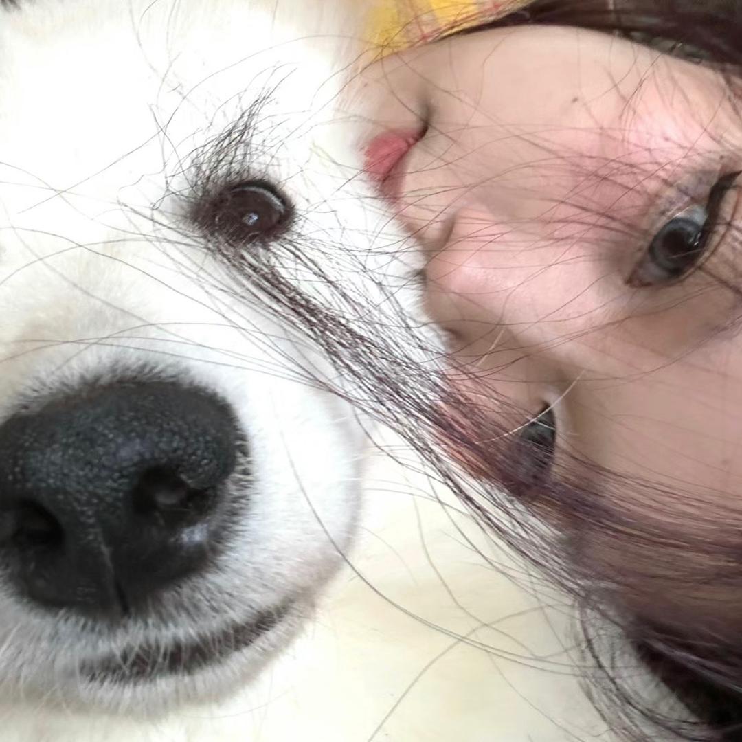 来个泡芙🧸