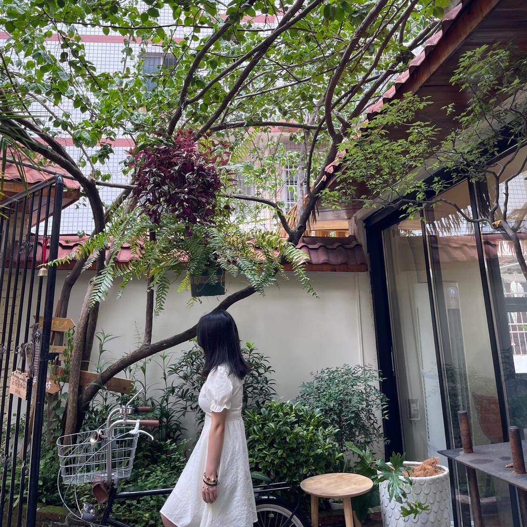 【千妍传媒】造景王（专业直播间搭建）