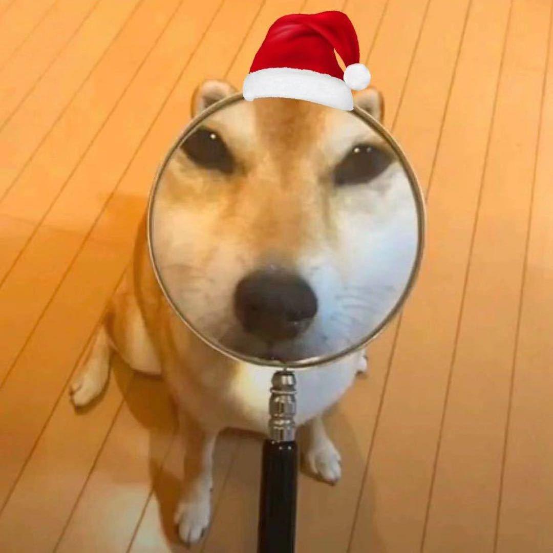 谢广坤         ╲