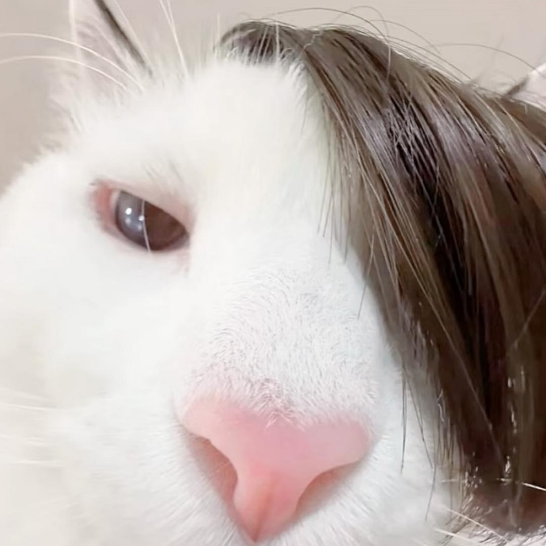 nljyb