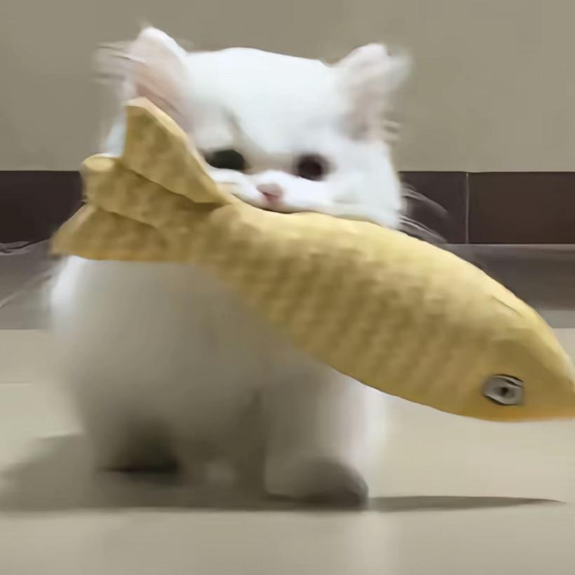 小🐟困困