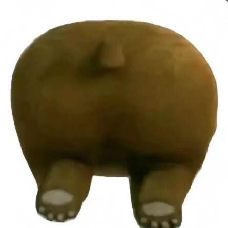 裤裤西里