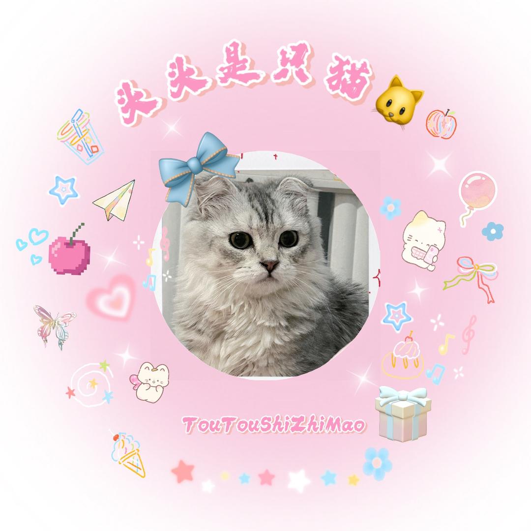 头头是只猫🐱🔝🎁