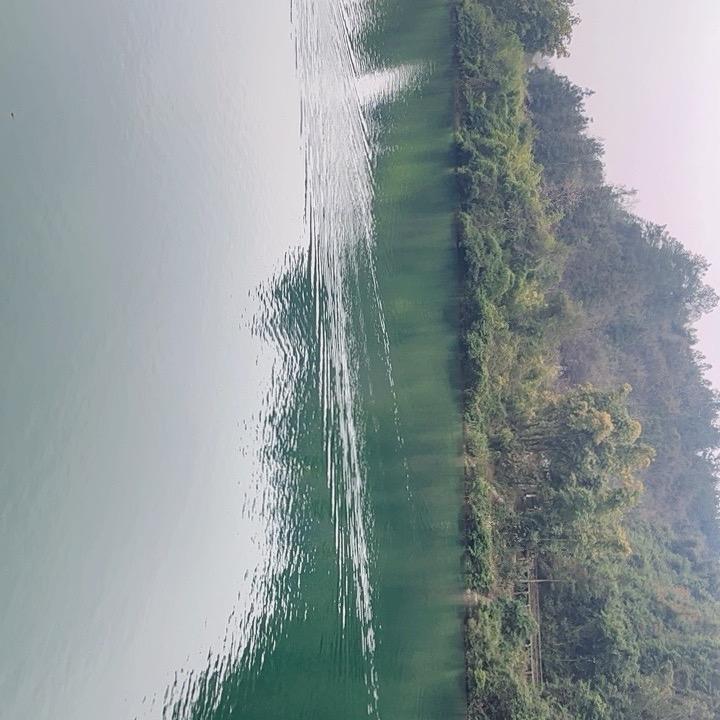 哈努力