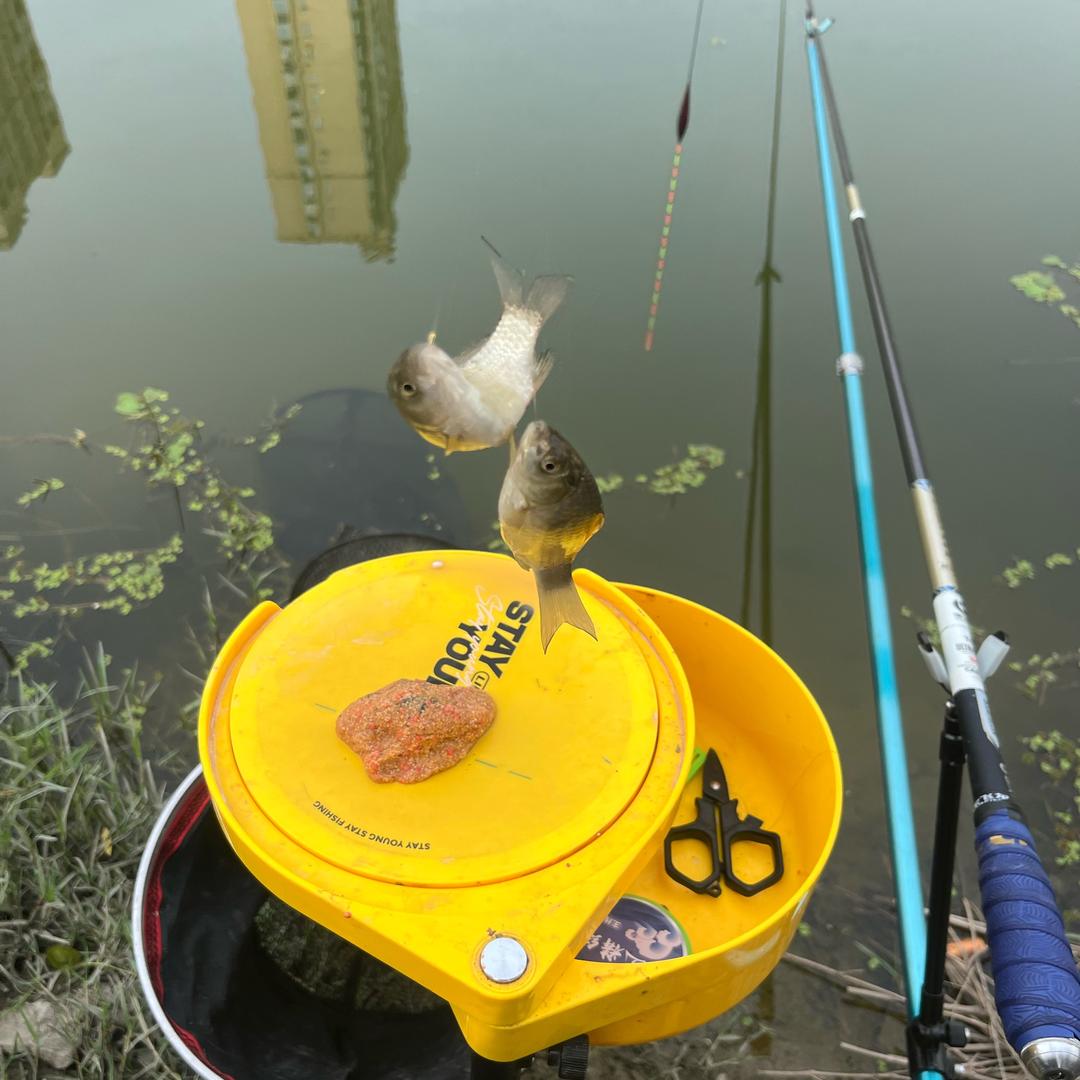 爱钓鱼🎣