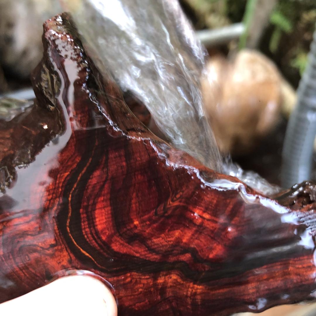 栖木优品（海黄高货回血）