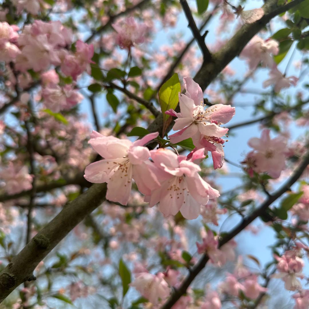一束阳光☀️