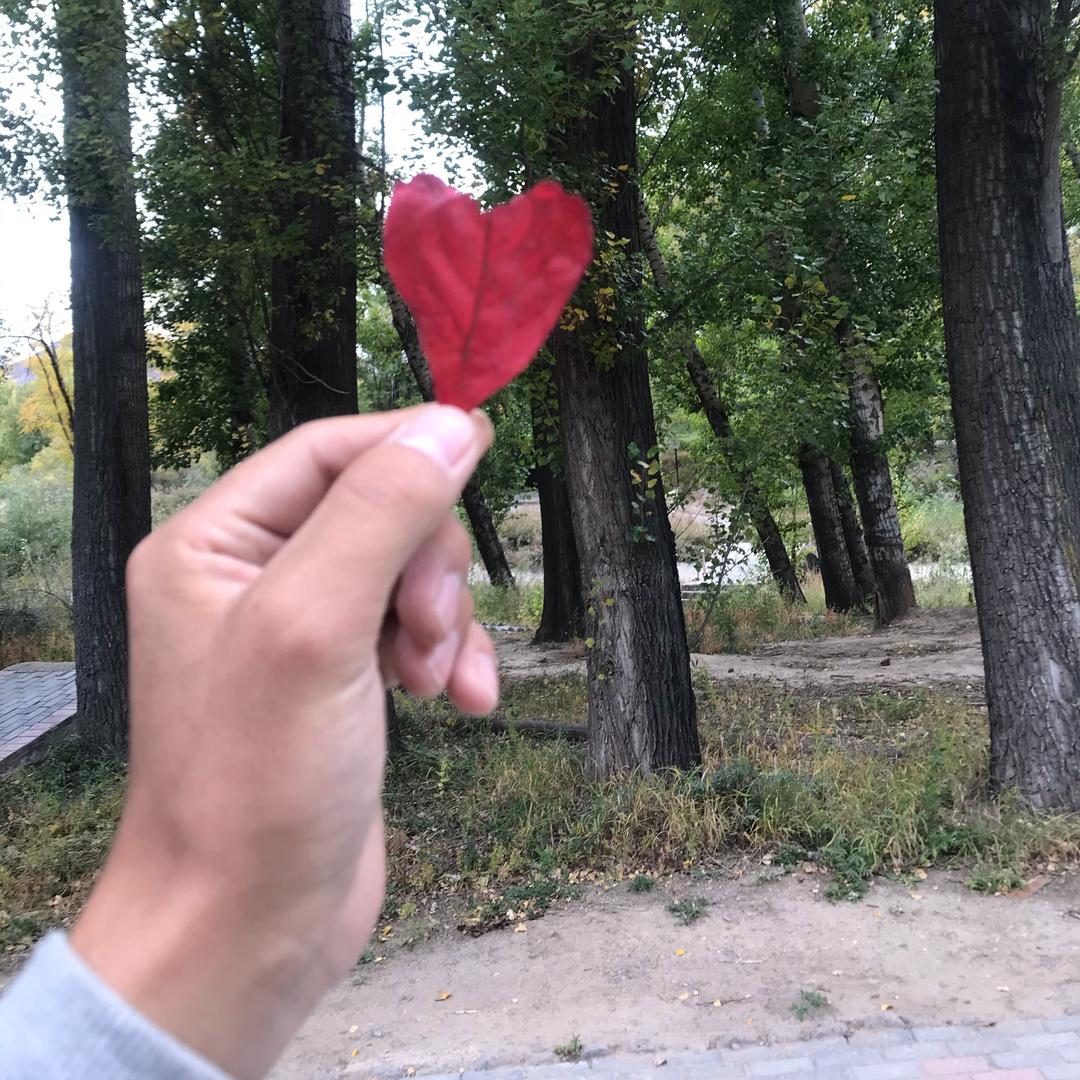 福尔马林