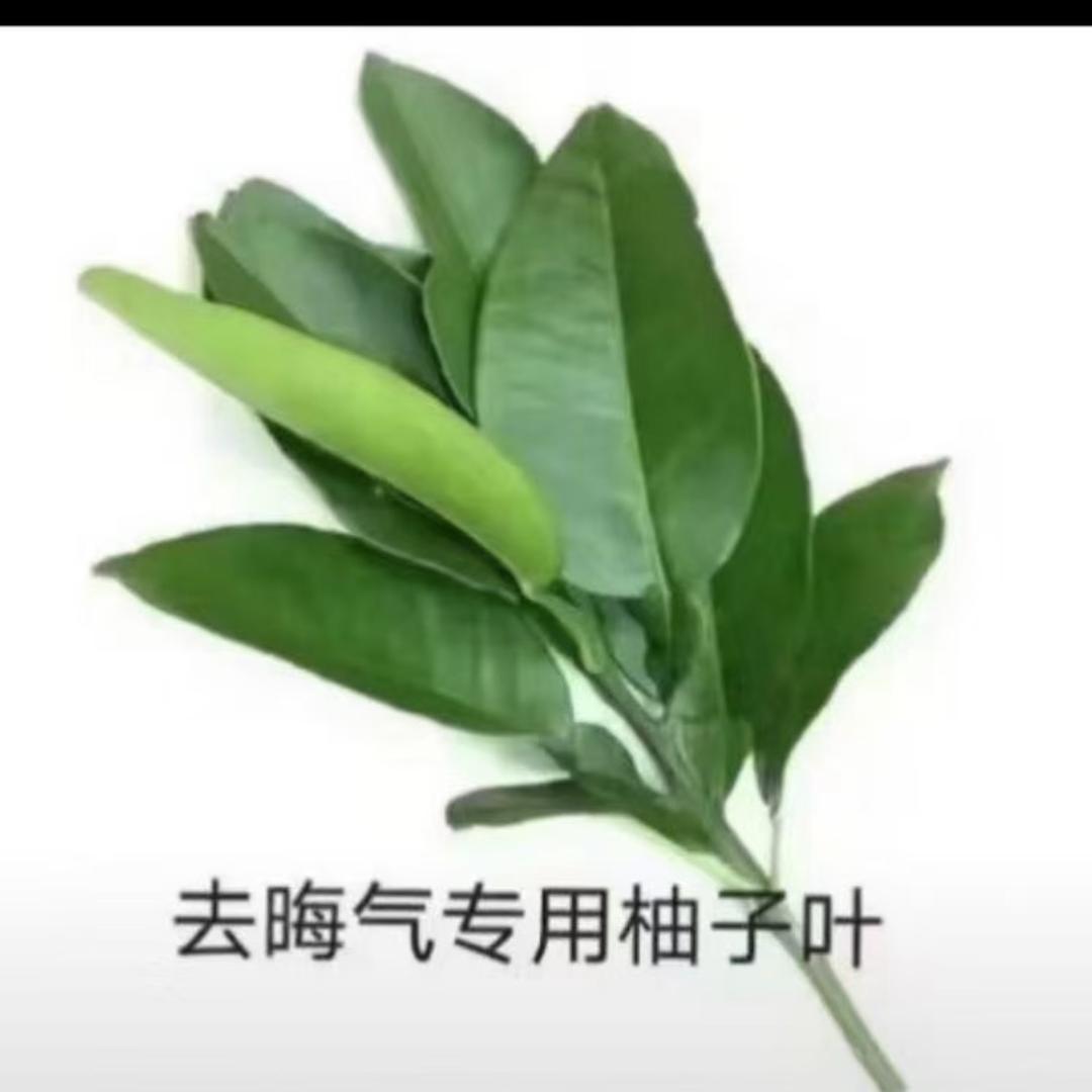 ☘️九月