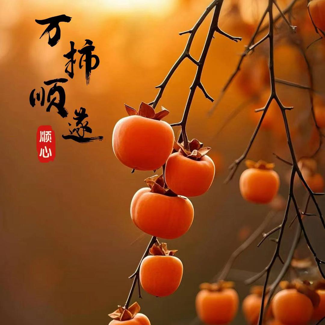 总裁夫人