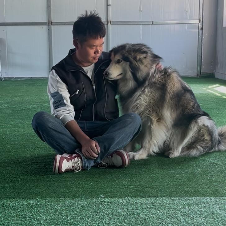 宠悦严选小铺