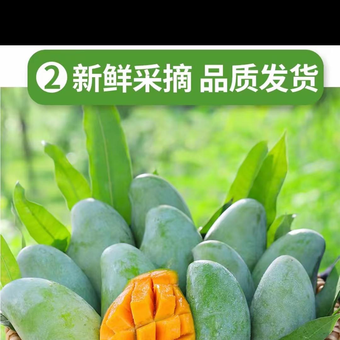 新新鲜鲜果果