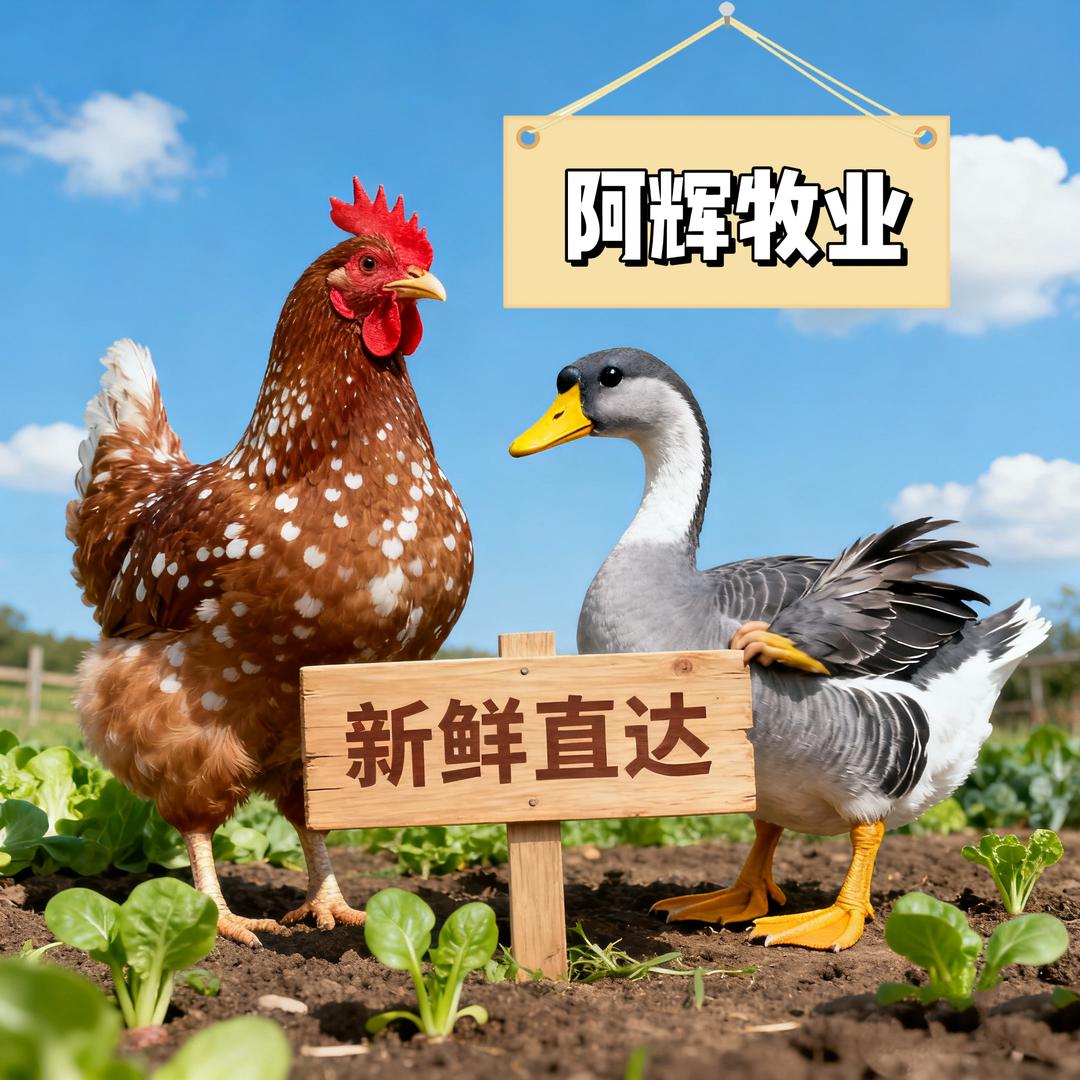 阿辉生态鸡舍