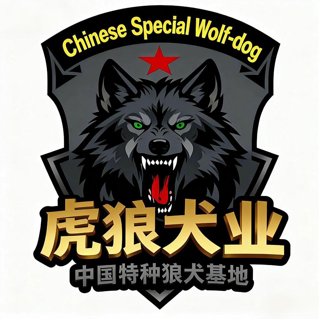虎狼教父