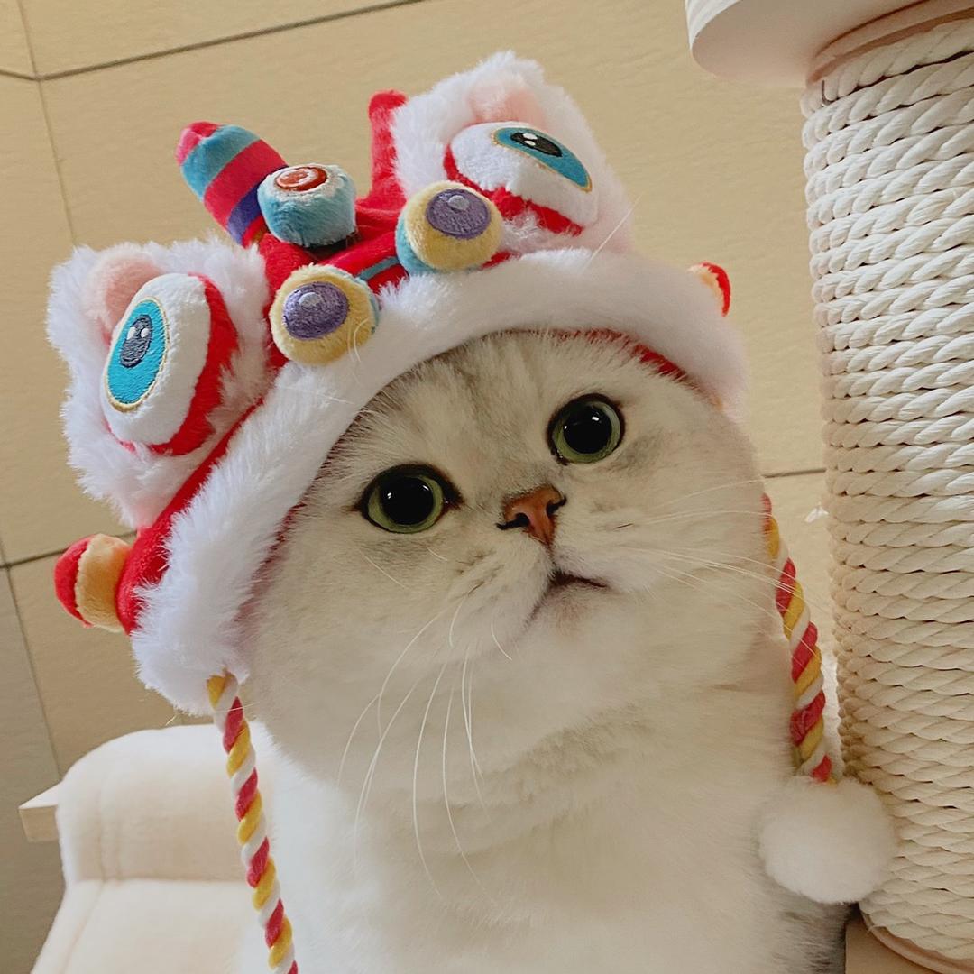 GoGo喵