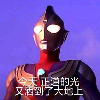 c级鼠尾草