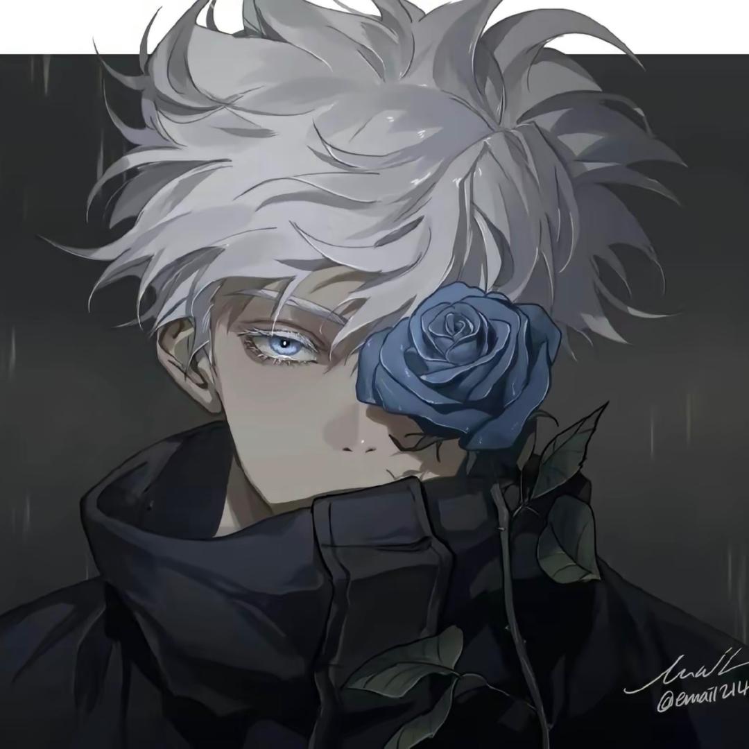 宝子哥。