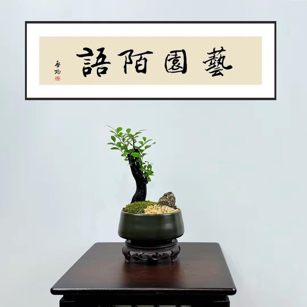 语陌云境绿植花卉