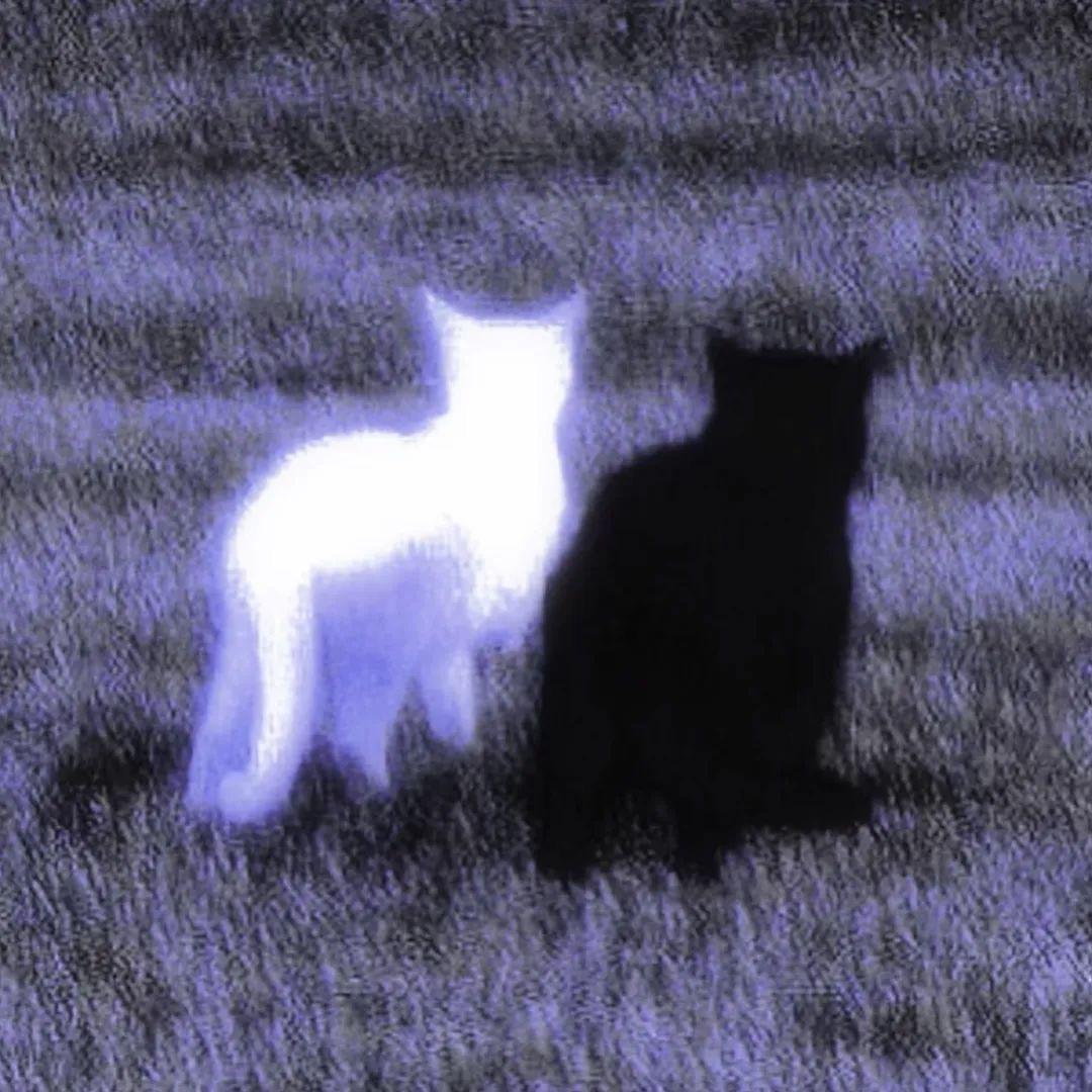 🦴存在主义废料🗑️.