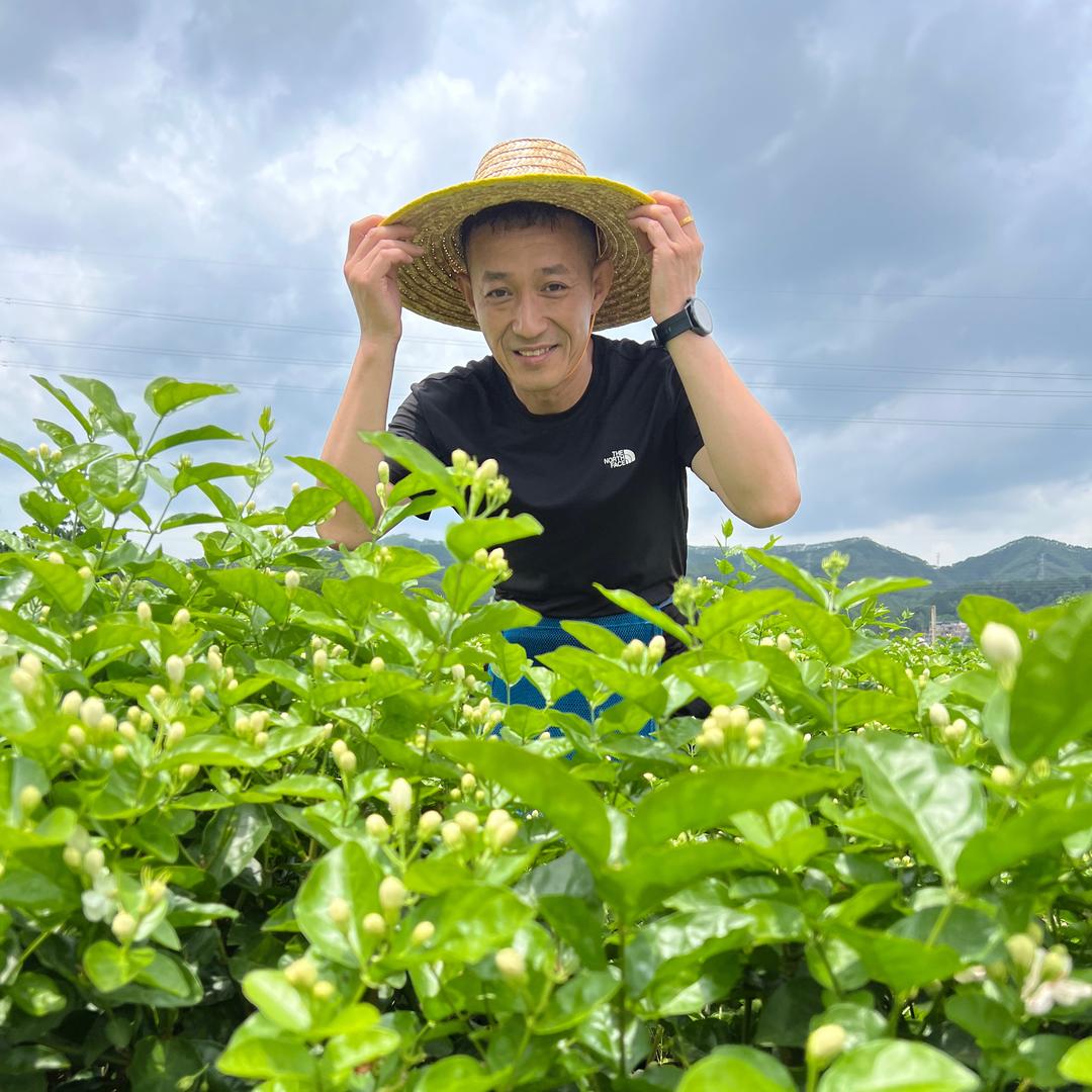 朋来茶业(大朋哥茶叶)